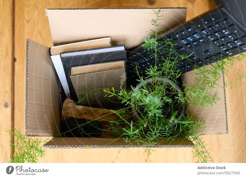 Carton box with various belongings book keyboard pot plant carton floor storage relocate keypad cardboard modern apartment package container property daylight