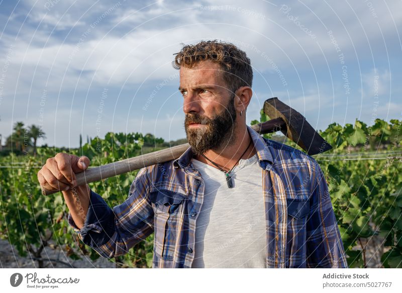 Serious young ethnic male farmer standing on agricultural plantation man field countryside agriculture rural work agronomy hispanic brunet job vineyard beard
