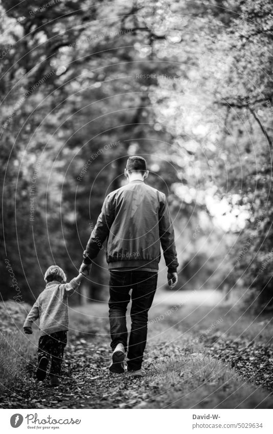 Father and child go for a walk in the woods take a walk Father and Child dad Son at the same time in common Forest walk Autumn Autumnal Hold hands To hold on