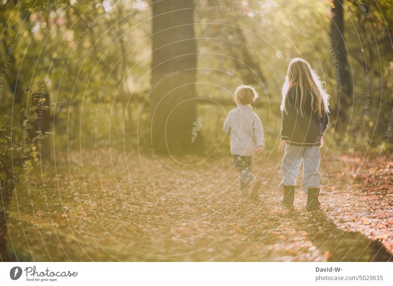 Siblings walking through autumn forest Autumn Brothers and sisters To go for a walk Forest Autumnal Sunlight Sunbeam sunshine at the same time Boy (child) Girl