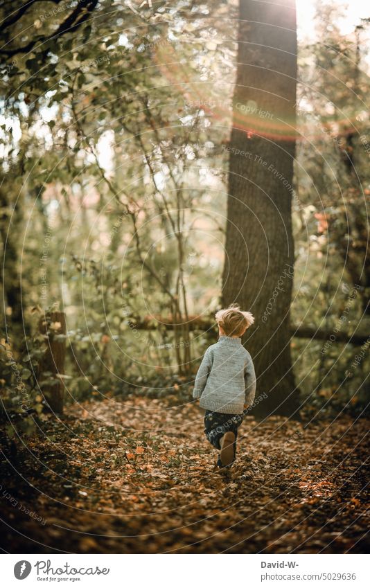 Boy running through autumn forest Autumn Child Boy (child) Nature Joy Walking Running fun Movement Infancy Joie de vivre (Vitality) Happiness Autumnal Forest