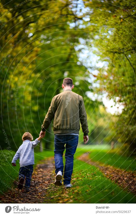 Father and child take an autumn walk through the forest Child dad Son To go for a walk Hold hands Together Autumn Forest Parents Nature To hold on
