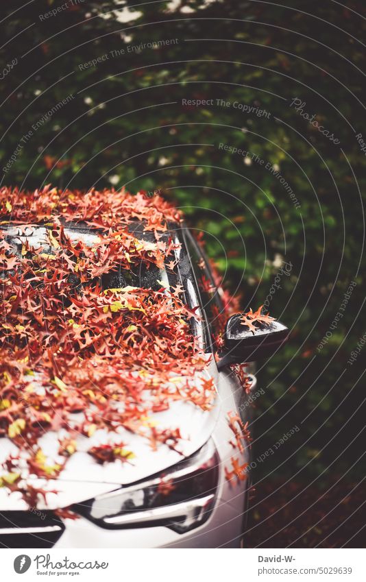 Car in autumn covered with a lot of leaves Autumn car foliage Early fall Windscreen Autumnal Seasons Road traffic Caution autumn mood