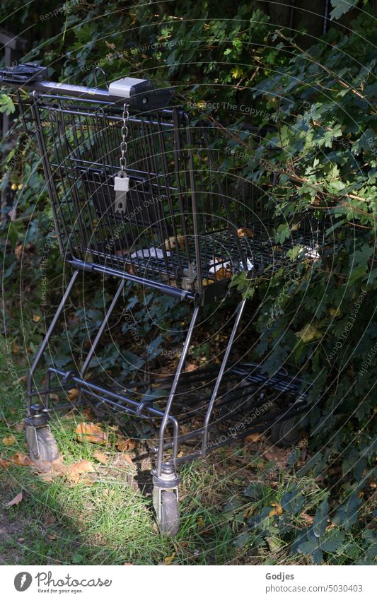 Shopping cart pushed into the bushes Shopping Trolley Theft Vandalism Environmental pollution shrubby Metal Broken Destruction Consumption Old Supermarket