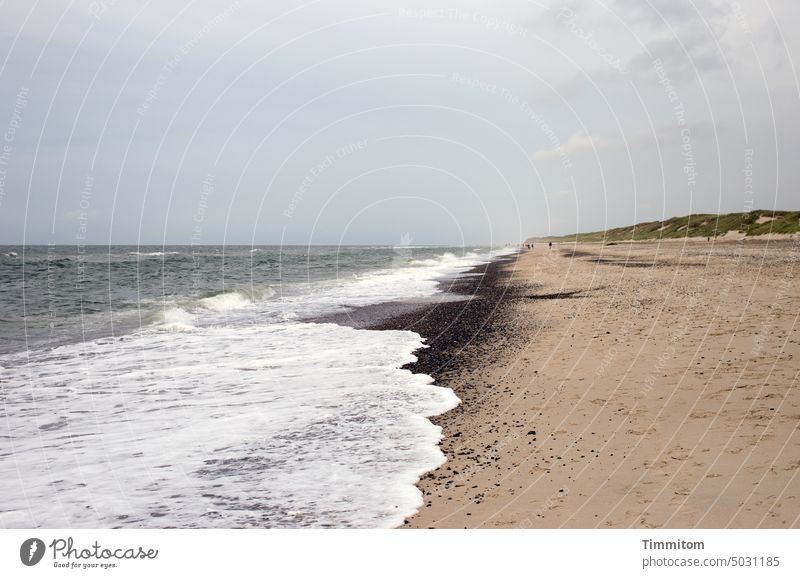 intoxicating North Sea Waves Hissing White crest Beach Sand coast dunes Denmark Vacation & Travel Nature Sky Clouds Tide North Sea coast Exterior shot Calm