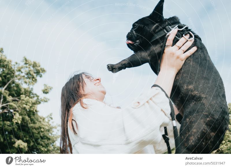 Young woman playing rising up her dog french bulldog at the park while having fun pet playful person female friendship training happiness smiling happy young