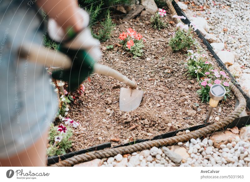 Close up image of a young woman working on a small garden, preparing plant flowers, removing soil tool growth landscaping gardening person planting care