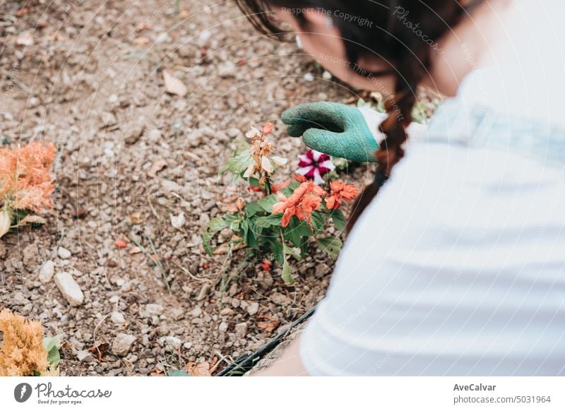 Close up image of a young woman working on a small garden, preparing plant flowers, removing soil tool growth landscaping gardening person planting care