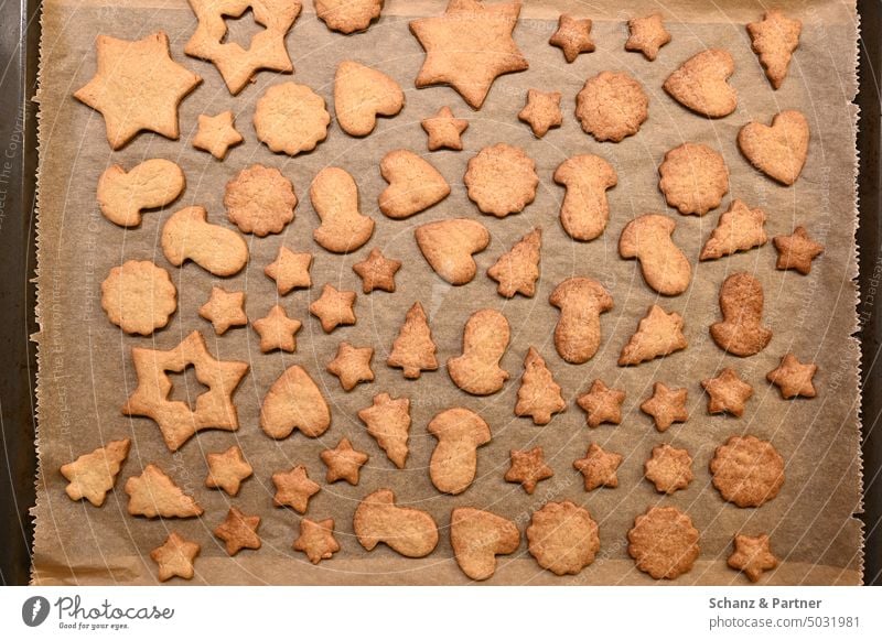 baked Christmas cookies on baking tray biscuits Cookie Christmas tree Baking Christmas biscuit Christmas & Advent cut out cookies dough baking paper cute