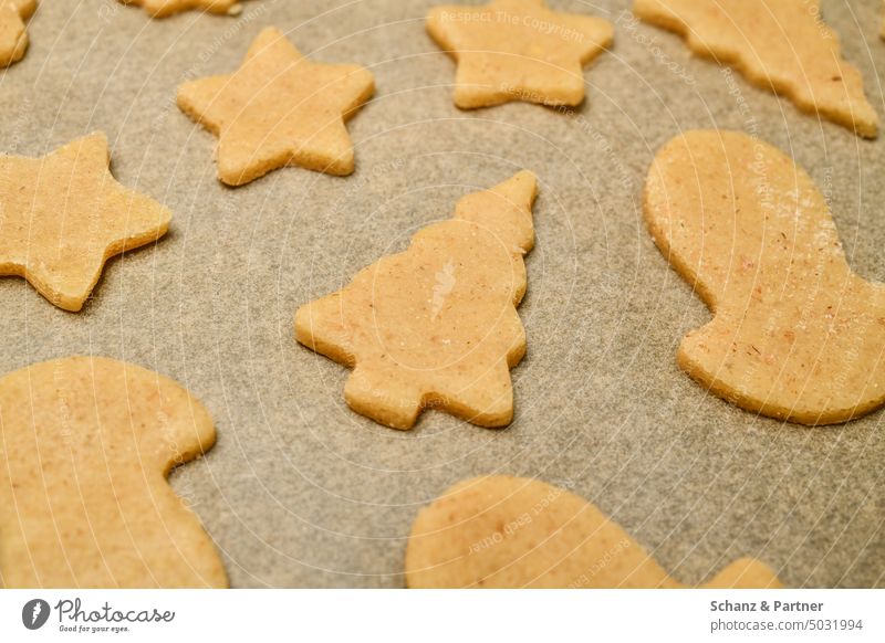 Christmas cookies cut out on baking paper biscuits Cookie Christmas tree Baking Christmas biscuit Christmas & Advent cut out cookies dough cute cookie dough