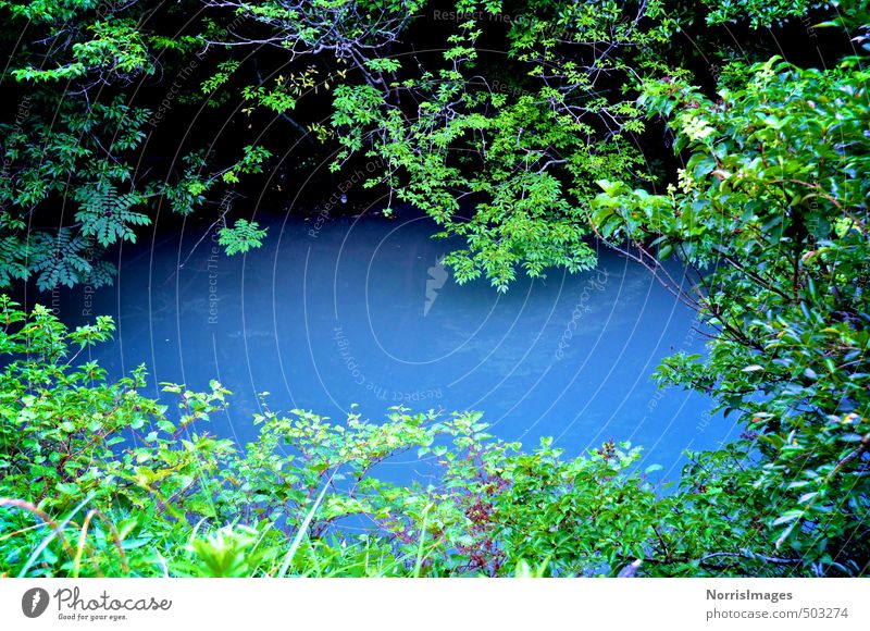oraculum Environment Nature Landscape Plant Water Summer Beautiful weather Tree Grass Bushes Forest Lake Esthetic Blue Green Moody Dream Desire Future Oracle