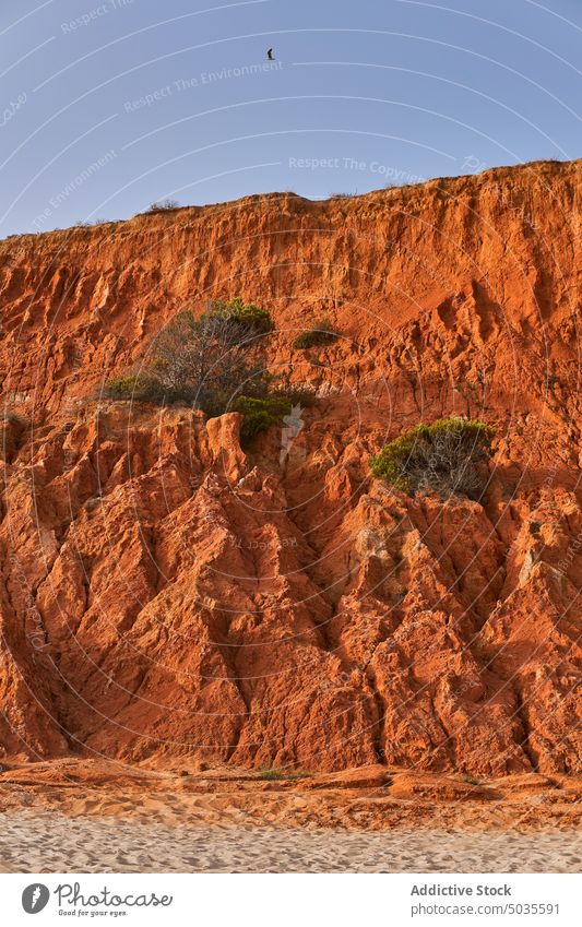 Cliffs against cloudless sky in summer cliff blue sky beach sand formation rock sandstone daytime arid rough falesia algrave portugal ridge scenery desert