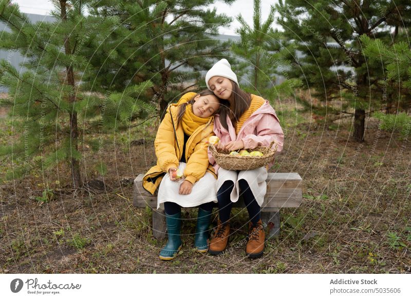 Relaxed sisters with fresh apples on bench in forest girl collect basket tree harvest content friend nature fruit park sibling kid smile friendship green pine