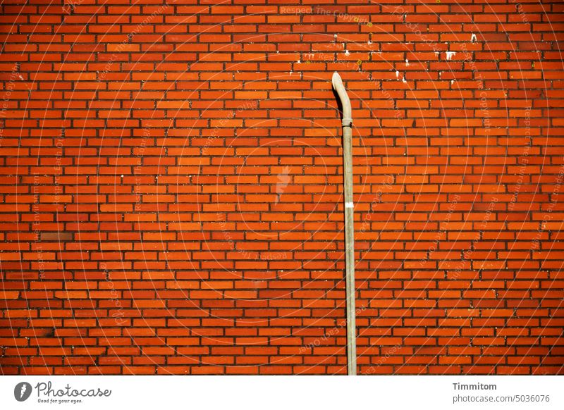 Brick wall with drain pipe Wall (building) bricks conduit Drainpipe Wall (barrier) Facade Colour photo Building Deserted Denmark even Old Red