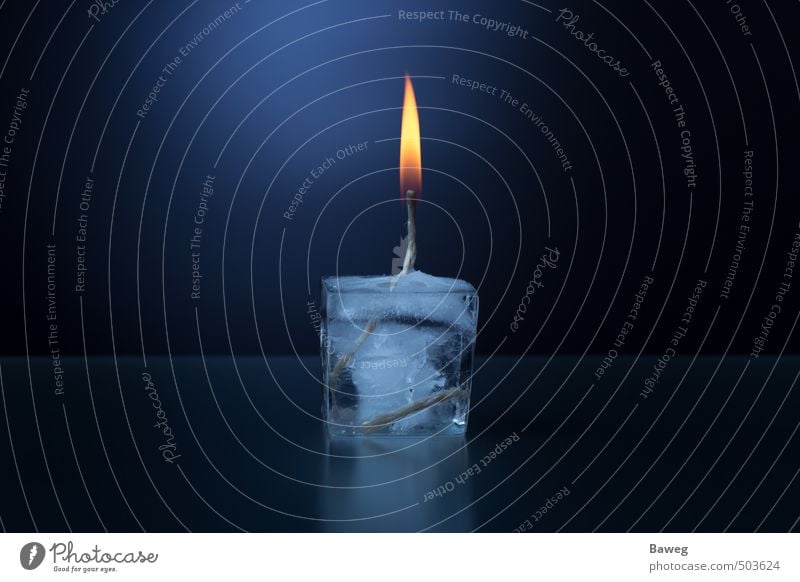 Ice cube candle Winter Warmth Jump Blaze melt dew Candle Candlewick Flame Burn Hot Dark Reflection Contrast Converse Cold Colour photo Studio shot