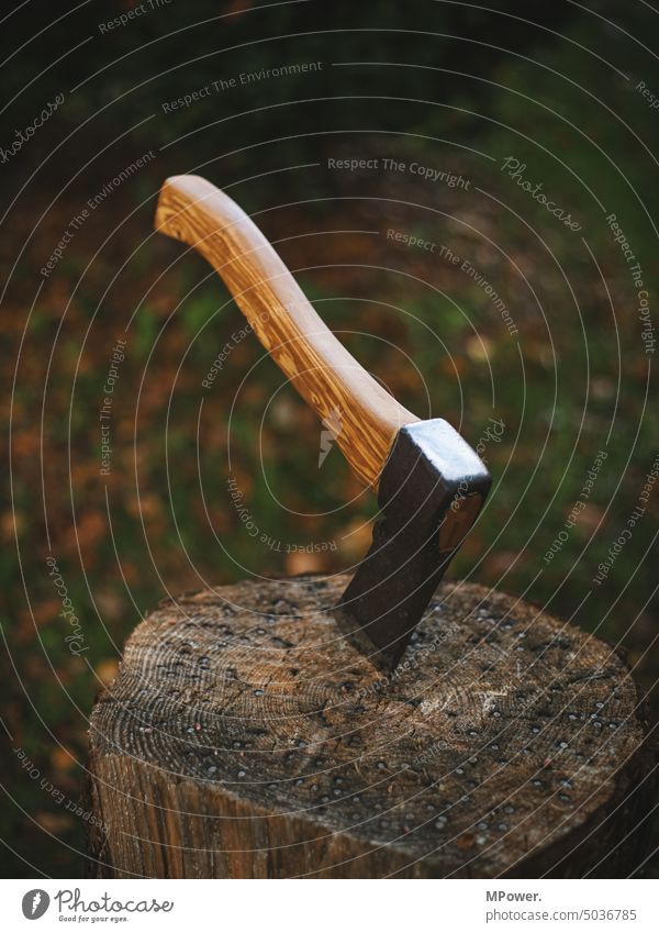 axe in the forest forestry workers Lumberjack Forest Environment Tree Timber Logging Forestry Tree trunk Firewood Exterior shot Logs piece of wood Chop wood log