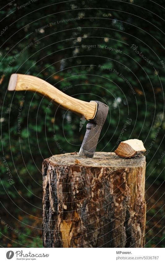 axe in the forest Axe Wood log Chop wood piece of wood Logs Exterior shot Firewood Tree trunk Forestry Logging Timber Environment Lumberjack forestry workers