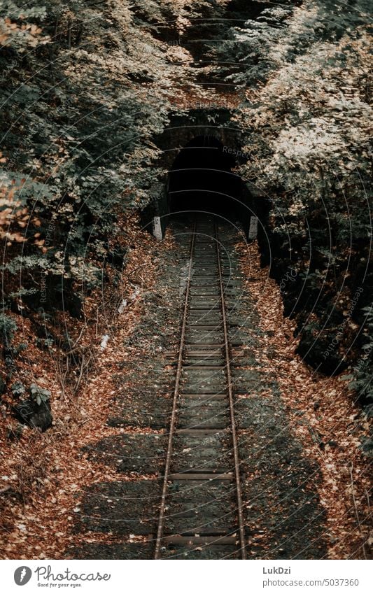 Old railroad tunnel in the autumnal forest underground tube travel transportation train track stone railway scary entrance dark Horror Fear travelers Tourism