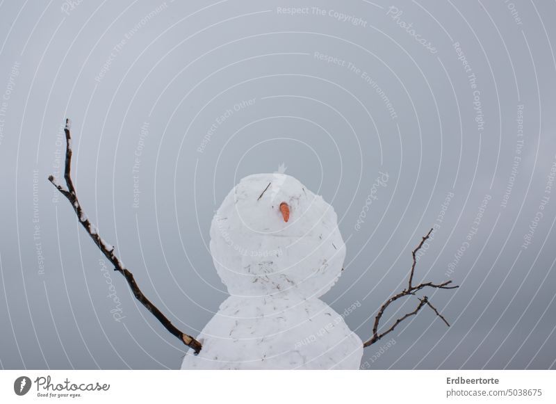 Stay alive! Snowman Winter Exterior shot Seasons White Cold Smiling Frost Frozen Playing Infancy Copy Space top