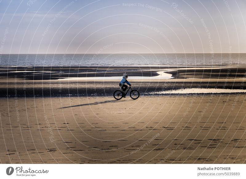 Person riding a bicycle on the beach in the evening person sea ocean sand boardwalk night Ocean Beach Water North Sea coast Vacation & Travel Coast Landscape