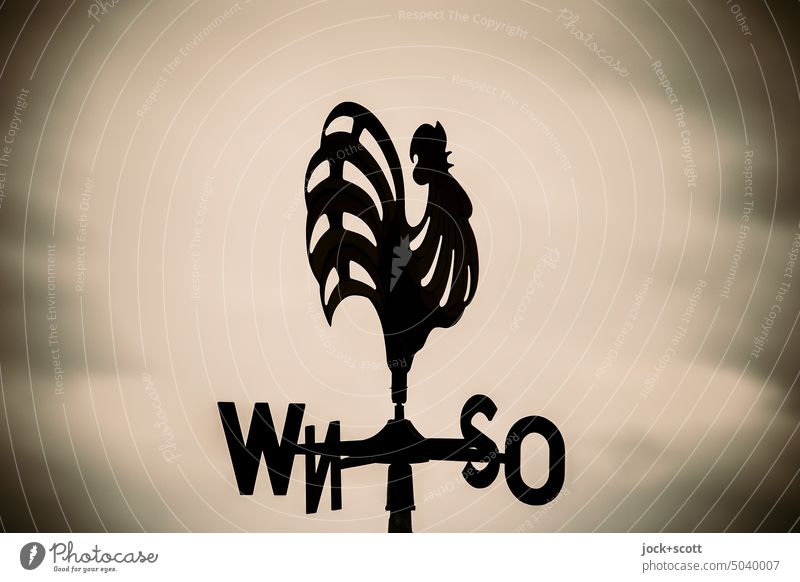 Weathercock turns to the wind Weather vane West East South North Compass point Sky Orientation Monochrome Symbols and metaphors silhouette Silhouette