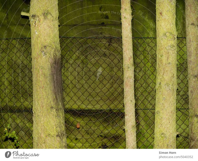 Tree trunks in front of artificial greenery imitation tree trunks Artificial Stage set Green Environment alienation Fence Without prospects Barrier Abstract
