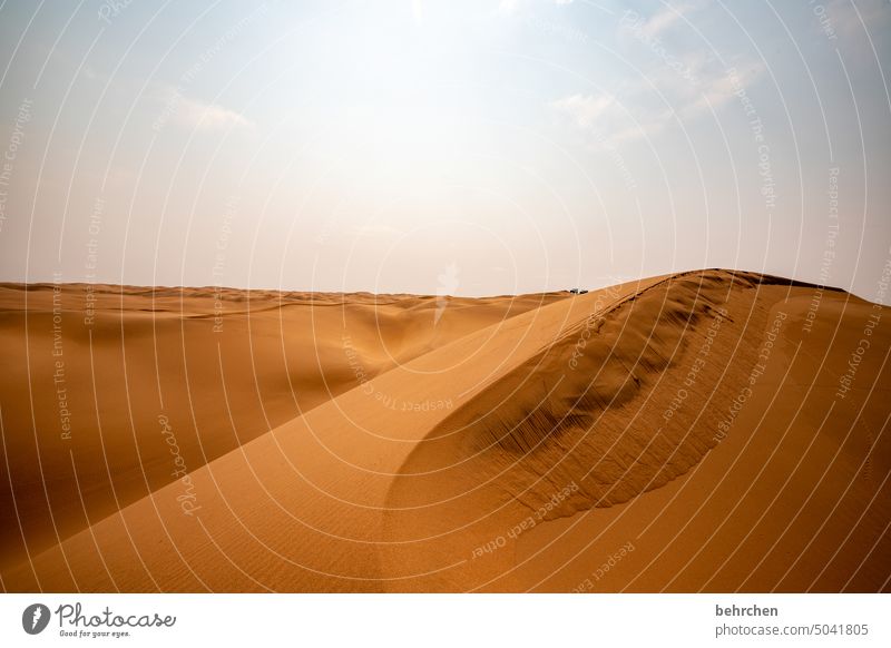 gentleness sand dune Dunes Impressive magical duene Gorgeous Swakopmund Walvis bay Warmth Sky Vacation & Travel Nature Loneliness Landscape Adventure