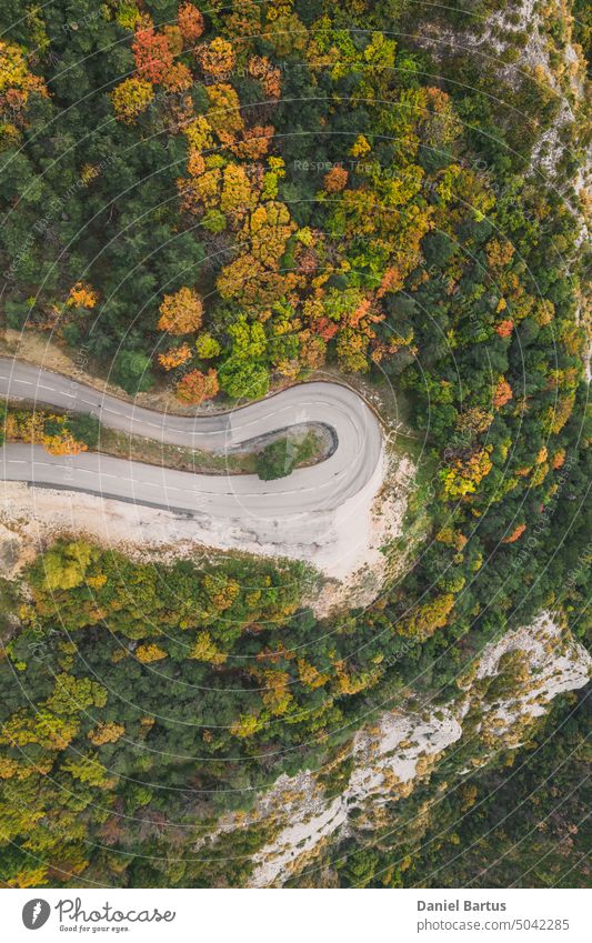 Aerial view of a winding road from a high mountain pass through a dense colorful autumn forest. adventure aerial asphalt Autumn landscape autumn road