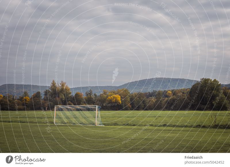 Sports field with goal, woods and sky in background Sporting grounds Foot ball Goal Lawn Meadow forests Sky overcast sky Football pitch Green