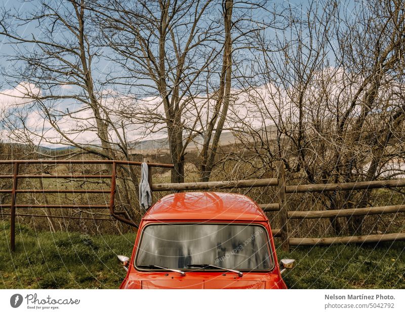 Leafless trees in the field with a red car roof winter nature season grass leafless natural cloud environmental still life abandoned 3 sky mini outdoor Nature