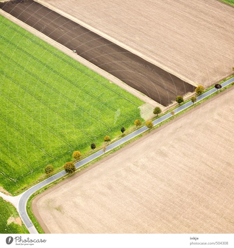 working top left Agriculture Forestry Environment Landscape Earth Summer Autumn Tree Field Outskirts Deserted Transport Traffic infrastructure Street