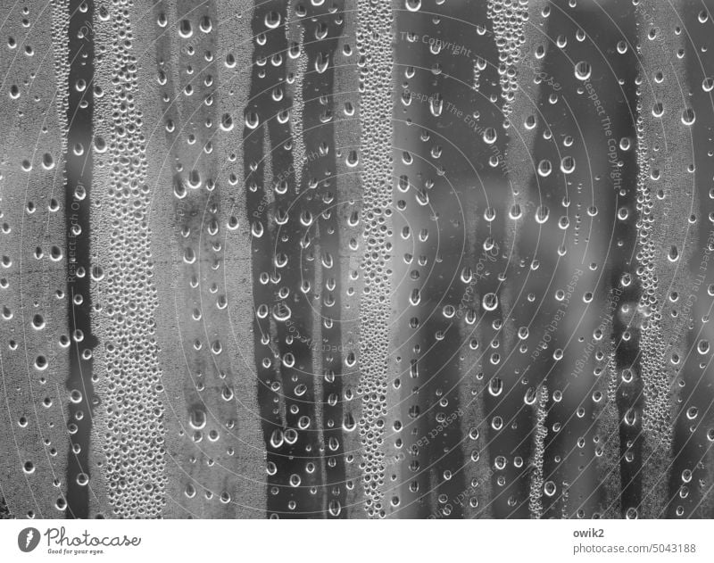 Sonata main movement Window Shop window Water Drops of water Many Glass Wet Window pane Rain Deserted Black & white photo Structures and shapes Abstract Detail