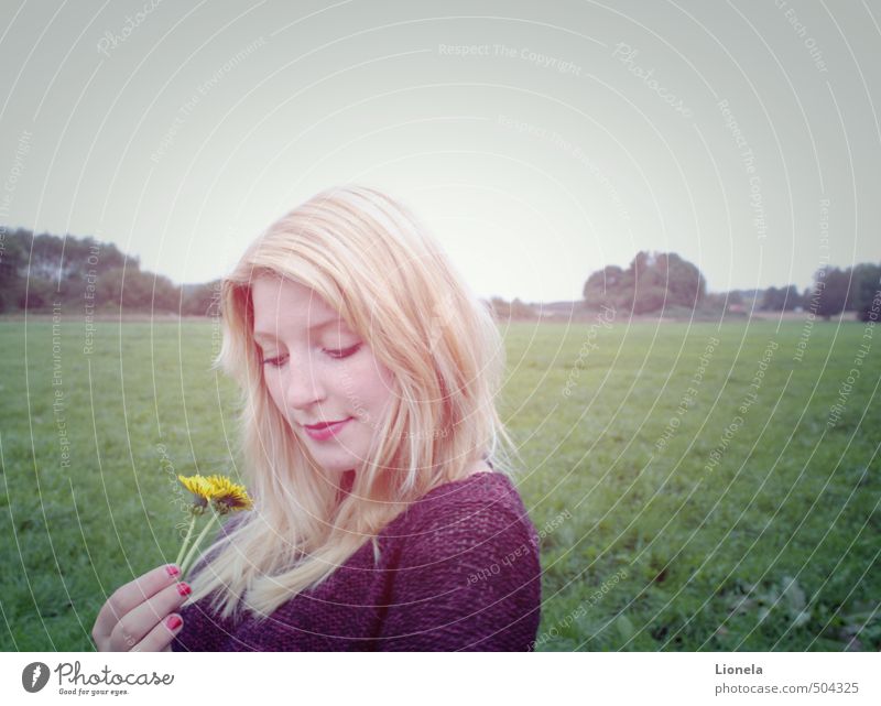 To be in thought Nature Landscape Cloudless sky Plant Dandelion Meadow Sweater Blonde Observe Blossoming Think Smiling Dream Sadness Authentic Simple