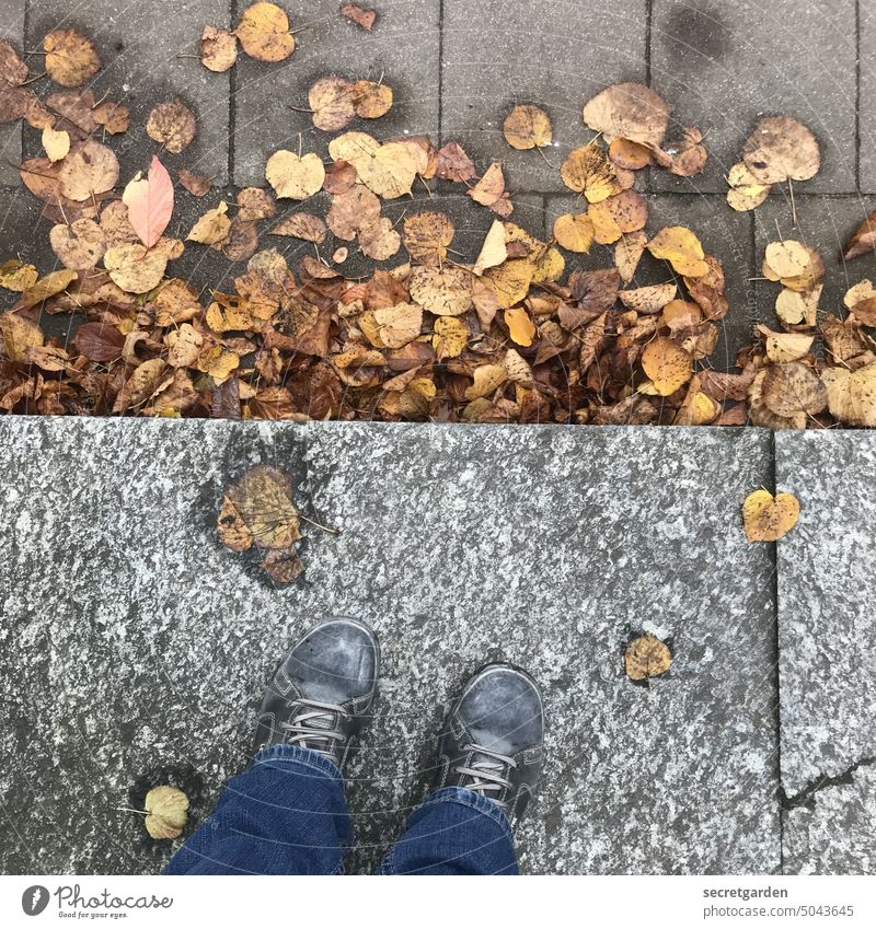 Hard on the edge Autumn leaves Footwear Bird's-eye view Wet jeans Human being Stone Autumnal Autumnal colours Exterior shot Colour photo Leaf Day Brown foliage