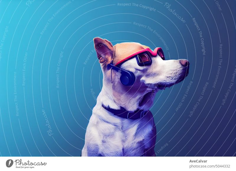 Funny dog wearing vr headset looking upward, studio photography. Copy space, cute dogs human actions pet puppy breed technology expression hound outside reality