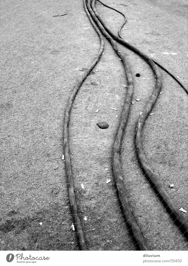 festival-floor Gray Cable black-white Black & white photo Floor covering Stone