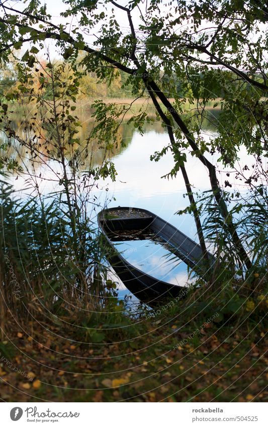 Boat on pond Environment Nature Autumn Tree Lakeside Watercraft Contentment Subdued colour Exterior shot Deserted Shallow depth of field