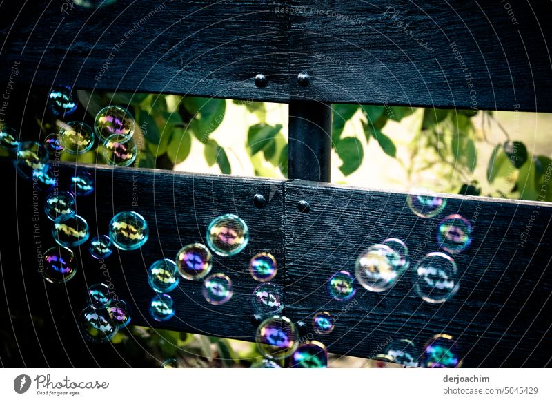Blubb blubb. Lots of soap bubbles are rising from a dark wooden fence. In the middle of the wooden fence many green leaves. fun Joy Summer Outdoors Playful Cute
