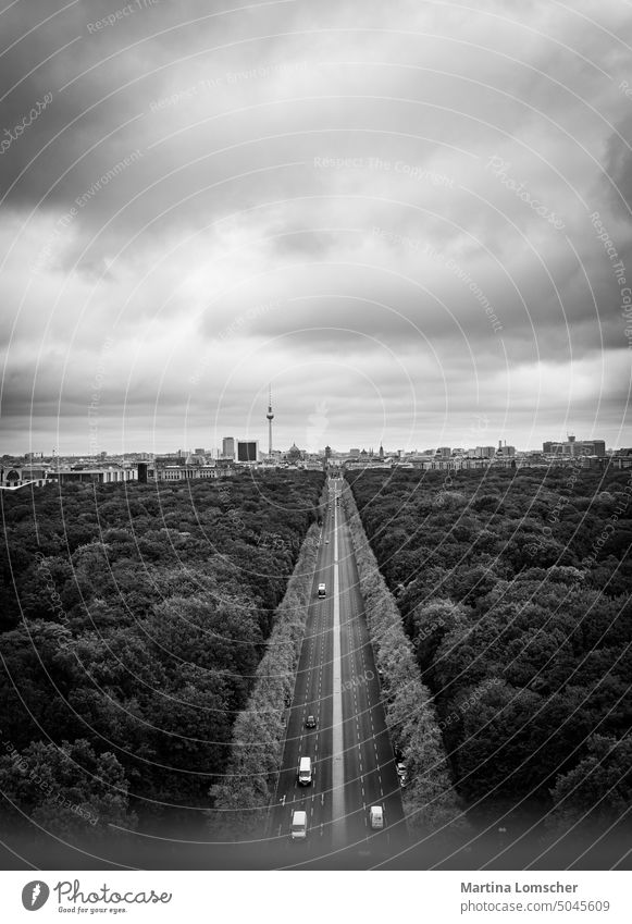 Main road to the Brandenburg Gate Street Road traffic Black & white photo Berlin Main street Avenue trees Sky Free space Free space above Copy Space top Heaven