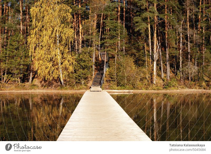 Wide viewing angle from Baltieji Lakajai Pier in Labanoras Regional Park, leading to a wooden staircase among the autumn forest Autumn Landscape Scenery Lake