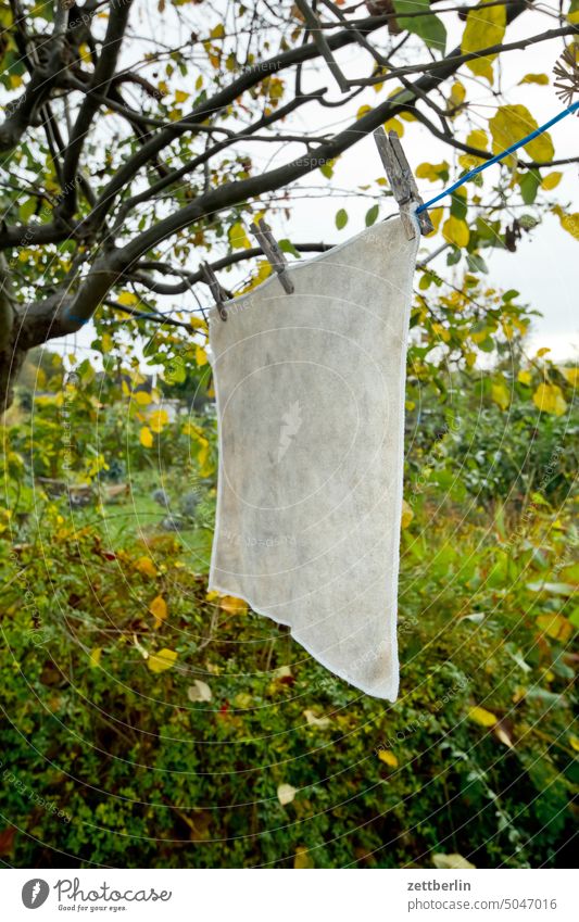 Very small laundry Branch Tree Garden Hedge Autumn Autumn leaves allotment Garden allotments Deserted neighbourhood Nature October Plant tranquillity