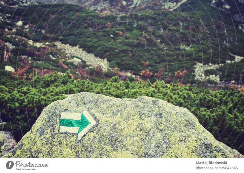 Trail marking arrow painted on a rock, color toning applied, selective focus. mountain trail hike path adventure sign toned autumn Giant Mountains Karkonosze