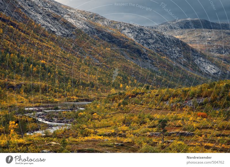 Autumn in Lapland Harmonious Senses Meditation Far-off places Mountain Hiking Nature Landscape Plant Storm clouds Weather Forest Rock River Multicoloured