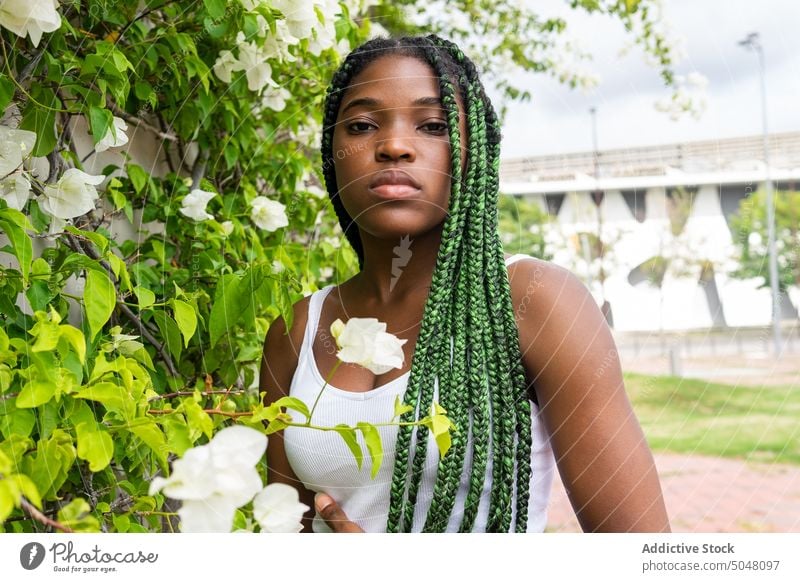 Young calm black woman in summer garden portrait casual carefree hairstyle plant braid ethnic serious african american braided hair appearance wall posture