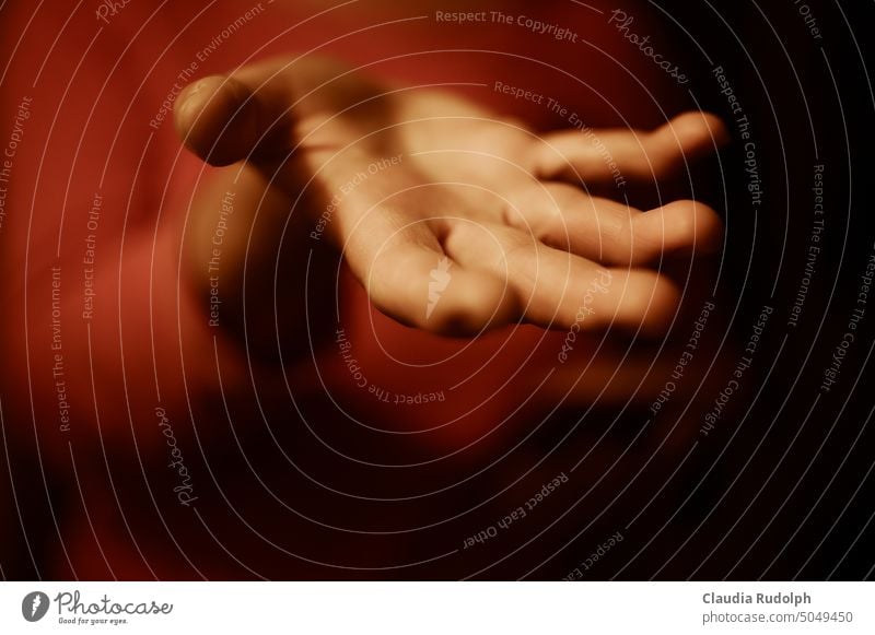 Woman hand is stretched towards the viewer with palm up and light falls on it from above Hand Women`s hand Fingers Red Skin Palm of the hand red sweater Body