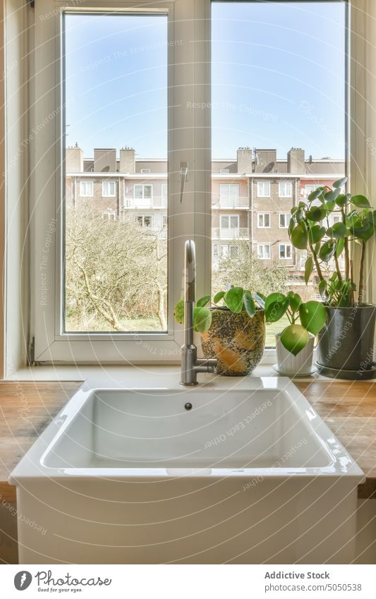 Ceramic sink with faucet in kitchen ceramic tap counter window hygiene modern potted plants appliance apartment style bottle soap tile flat metal sanitary
