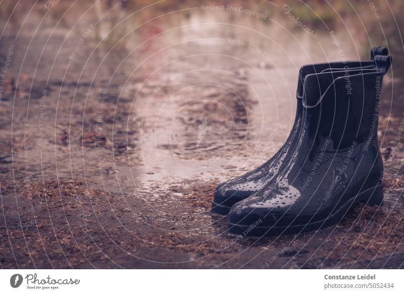Shiny rubber boots in the rain in front of a puddle- Rain Rubber boots Puddle raindrops Wet Bad weather Weather Water Drops of water Reflection Glittering