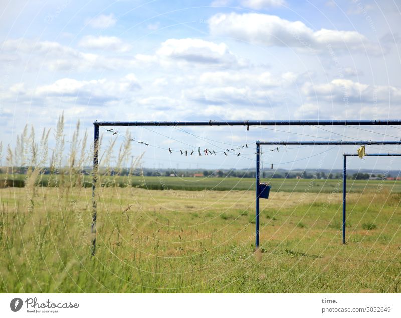 empty clotheslines in front of wide land in summer Sky Meadow Grass Clothes peg Construction Summer Horizon poles Far-off places staple basket Dry Washing