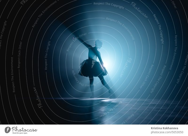 Silhouette of ballet dancer in tutu performing, dancing on stage. Ballerina practices on floor in dark studio with smoke. Neon light. woman female person
