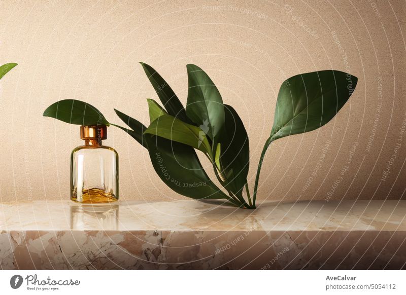 Mockup design of perfume bottle with plant branch on. Empty, blank and copy space wallpaper. Bottle of essential oil with herbs. Elegant and minimalistic podium scene for product presentation.